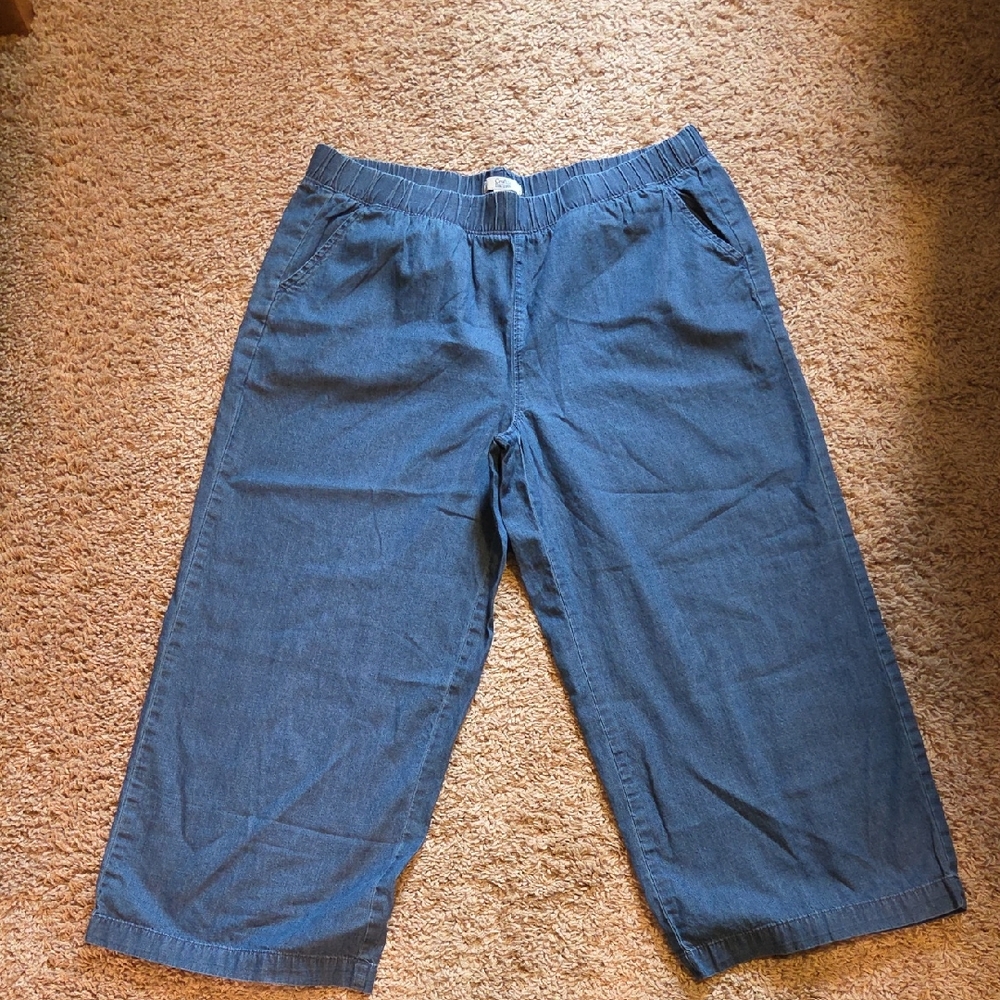 Croft & Barrow Blue Ankle Pants